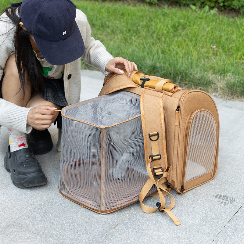 Portable cat bag, expandable l - Foldable Backpack Small ulasan dan harga